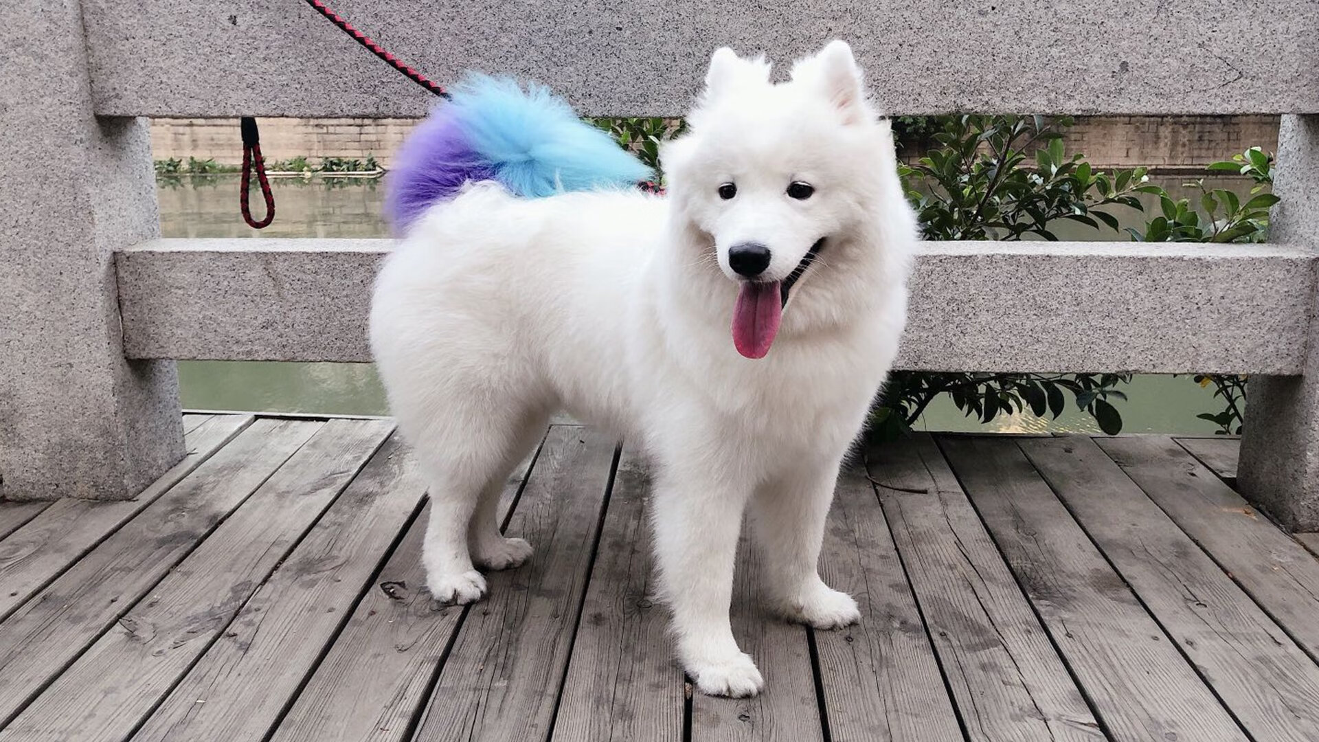 九游APP官网-印度尼西亚骑手Nurstdinov Zayan Fatih在“Pink Polo”赛事中参加CSIJB障碍赛,展示出色骑术。