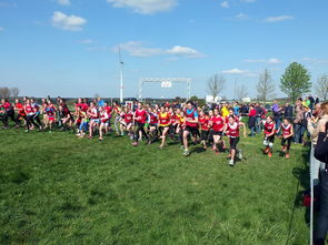 九游9游-中国青少年篮球政策实施效果研究,中国青少年篮球政策实施效果研究分析