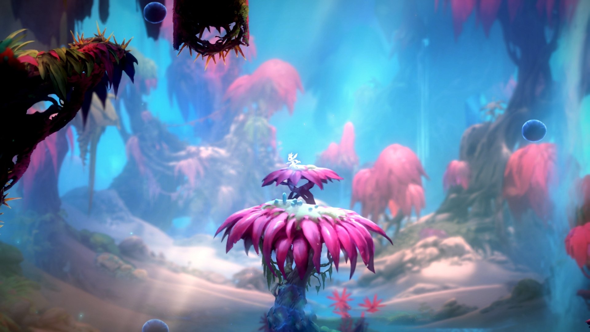 九游网-全国青少年越野滑雪赛在哈尔滨成功举办,2020—2021全国越野滑雪冠军赛