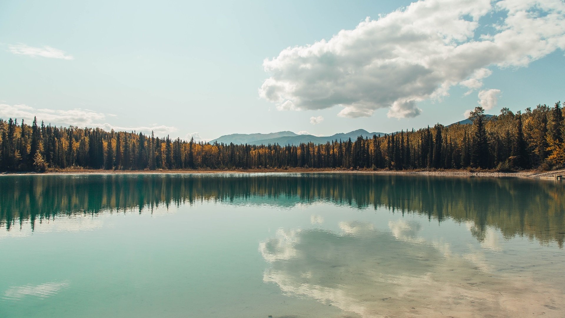 九游网页版官网入口-新闻中心推动企业文化建设,企业文化建设报道