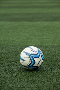 九游网-高校体育场馆开放管理与使用效率提升策略,高校体育场馆对外开放的意义