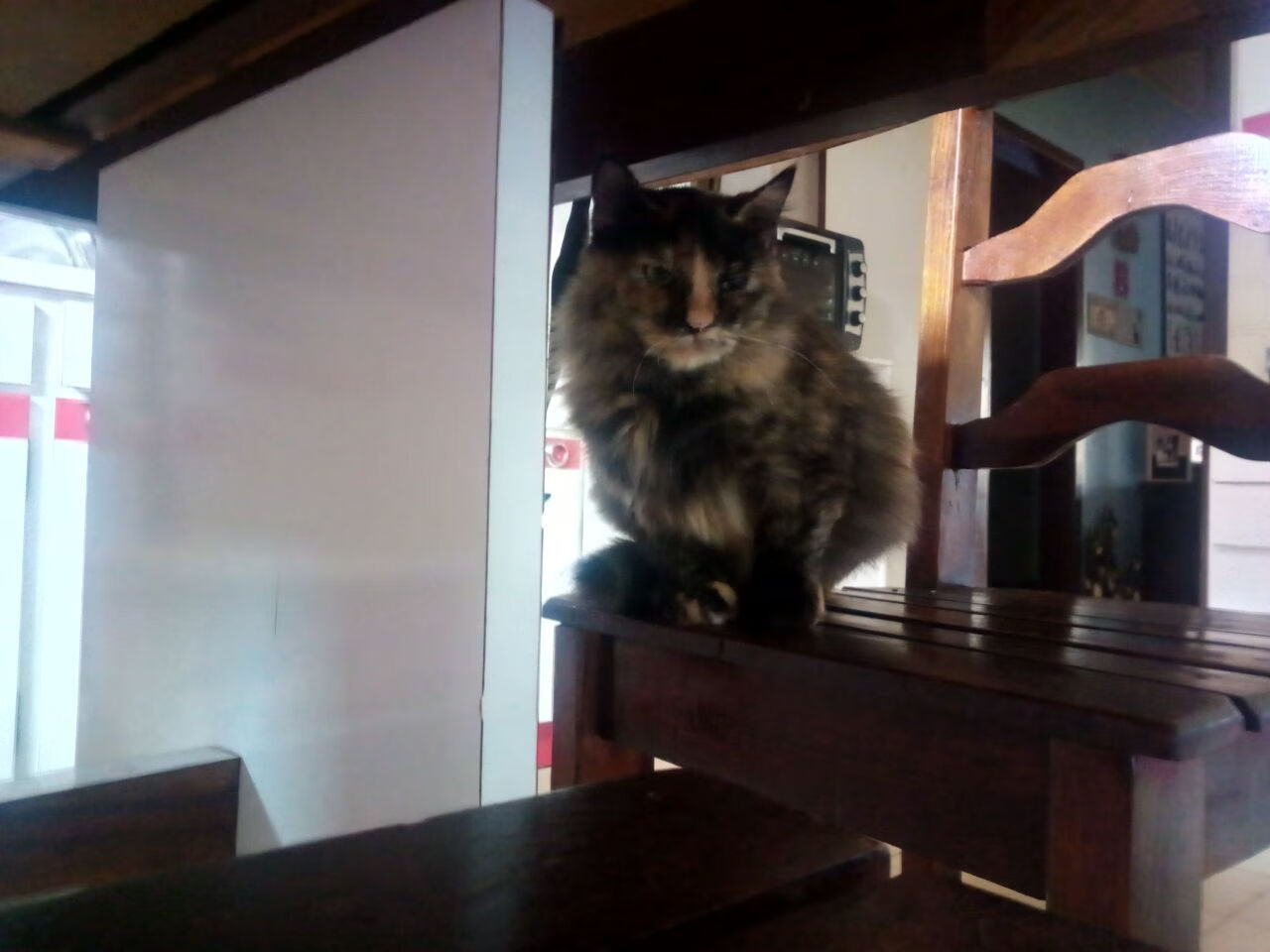 JiuyouAPP下载-亚特兰大前场多点策应增加进攻变化,亚特兰大进球太多了