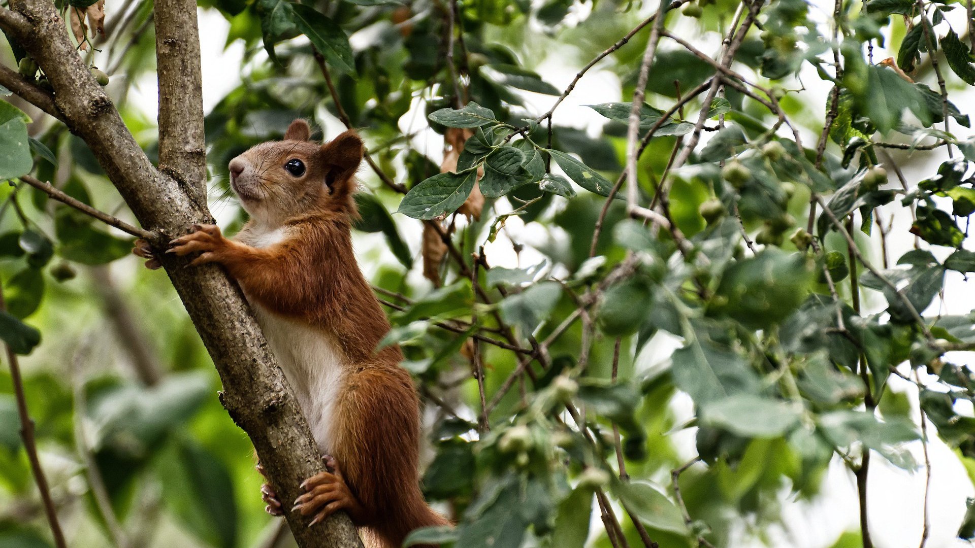 JiuyouAPP下载-后程配速提升成胜负分水岭,后程加速怎么练